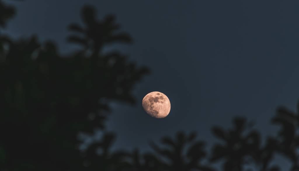 Retrogradni Merkur in polna luna združujeta moči: Rake čaka preizkus odnosov