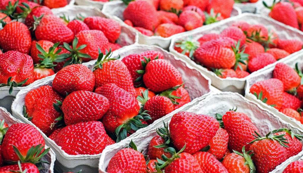 V jagodah za 17 evrov kilogram osem pesticidov