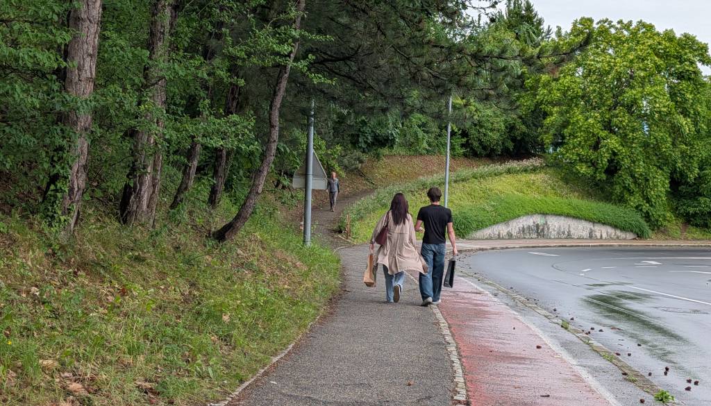 Med Europarkom in UKC Maribor načrtujejo novo pešpot, a izvedba se je zamaknila zaradi ...