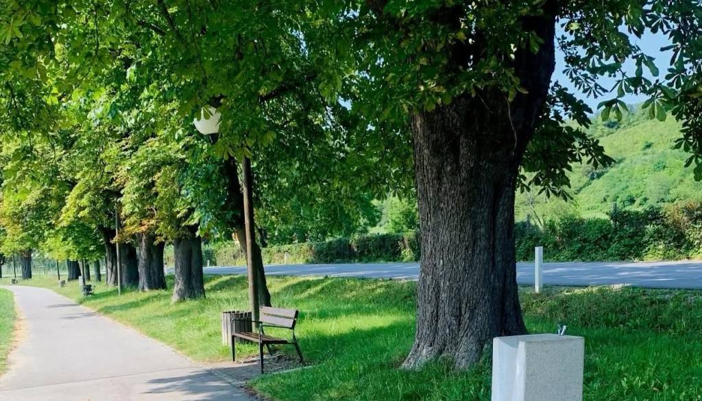 Mariborčani, veste kje v mestu lahko najdete pitnik? V vročih dneh pride še kako prav