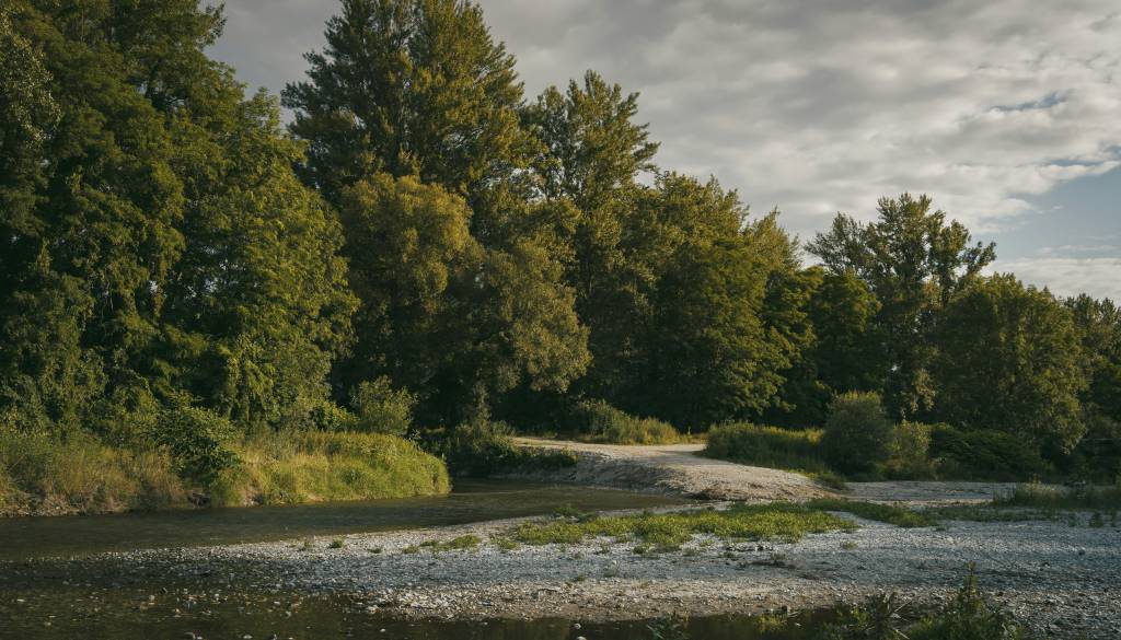 V reki našli truplo pogrešane osebe, sodelovali gasilci, reševalni psi in gorski reševalci