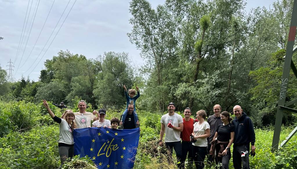 V Kranju več kot 40 prostovoljcev v enem dnevu odstranilo na stotine invazivnih rastlin