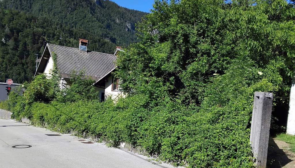 Na Jesenicah opozarjajo, da zaradi tega lahko plačate tudi 500 evrov kazni