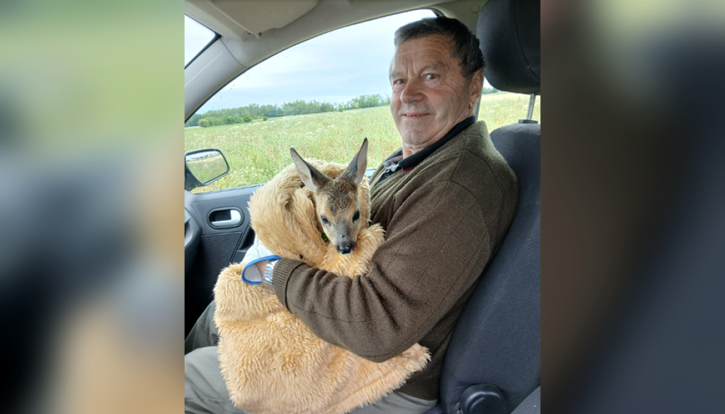 Srčna zgodba s srečnim koncem v Murski Soboti, lovca rešila prestrašeno srnico