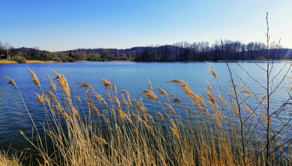 Tragična najdba pri Belopeških jezerih: Našli trupli, domnevno Slovencev