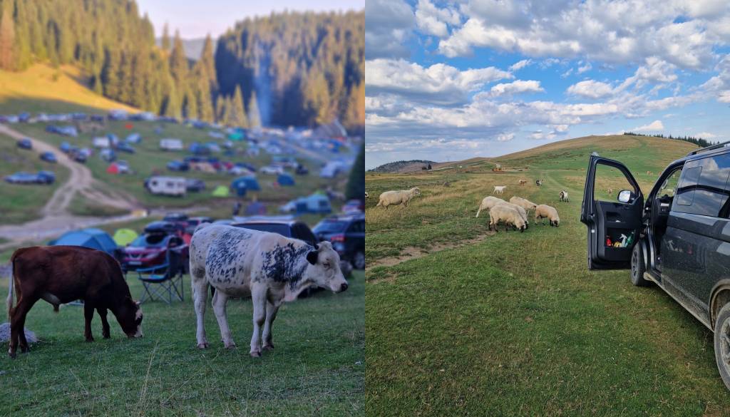 Iz Odrancev v romunsko divjino: več kot 30 posadk z nenavadnimi vozili gre na pot proti Karpatom
