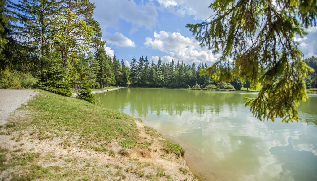 V gorah našli trupli, umrla naj bi slovenska državljana