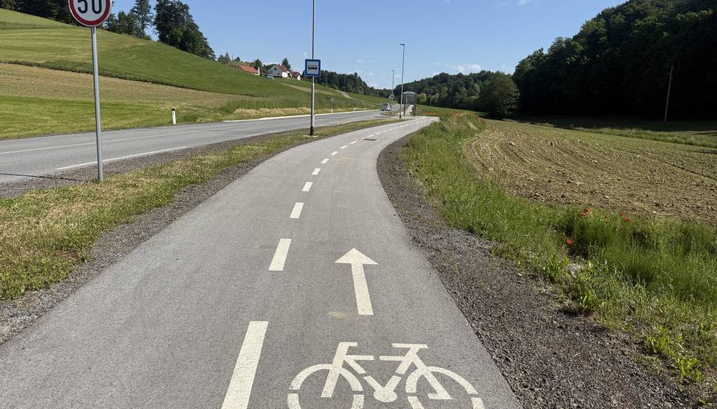 Občani opozarjajo na zaraščeno kolesarsko stezo pri ptujskih termah, kdaj je v planu ureditev?