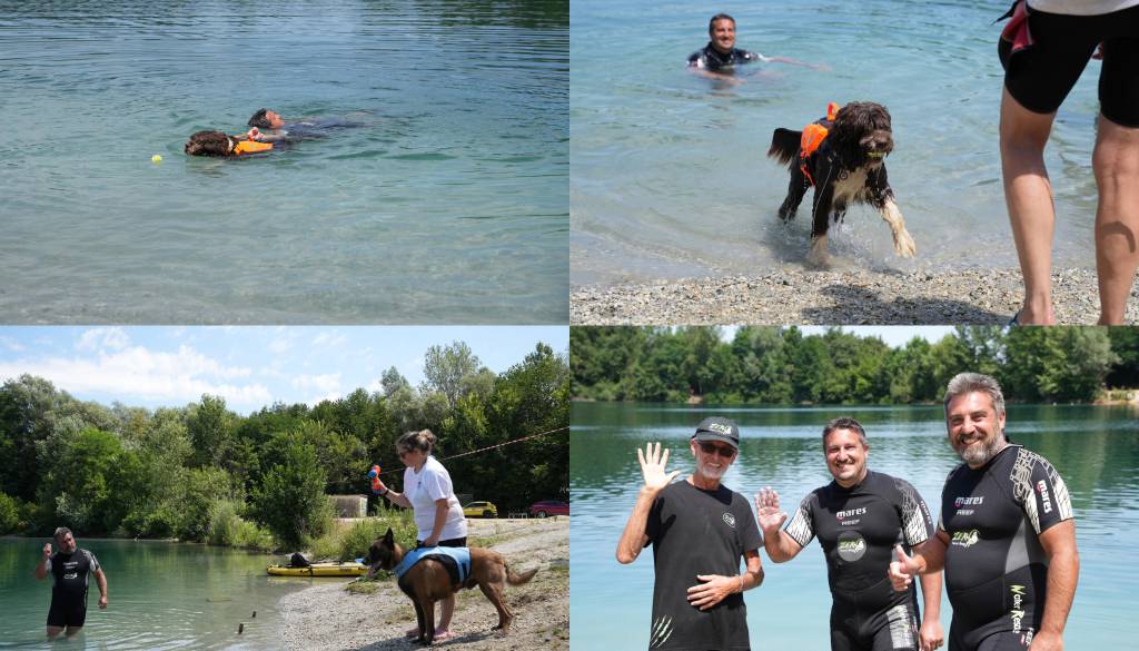 FOTO in VIDEO Pasji reševalci zavzeli gramoznico v Babincih, poglejte atraktivne vaje