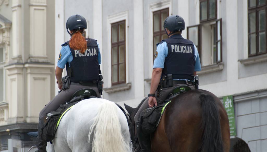 Od centra do Rudnika: To Ljubljančane najbolj spravlja ob živce