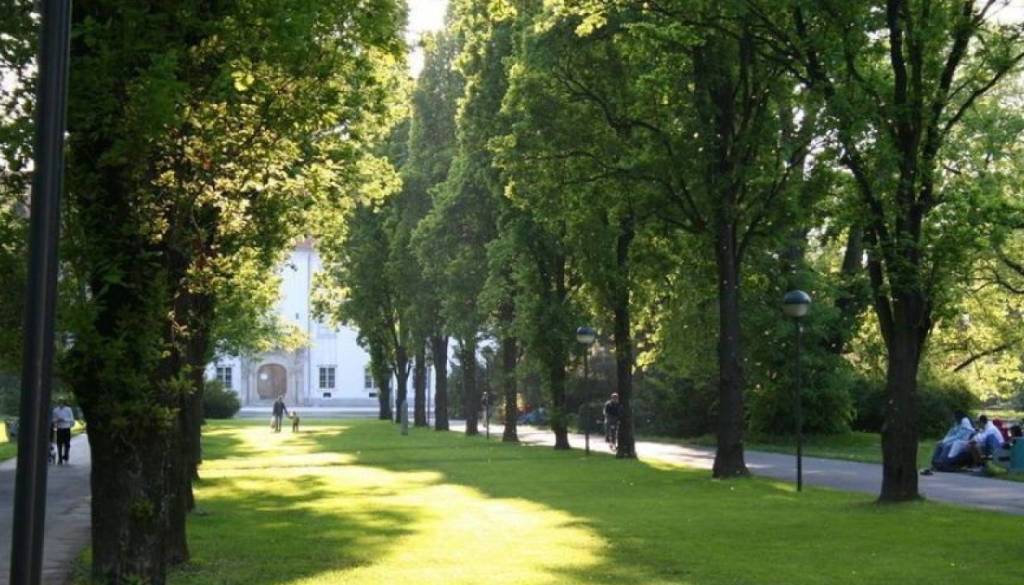 Pred akcijo proti vranam v Murski Soboti zaokrožila srhljiva informacija: »Nastavljajo kruh z antifrizom«