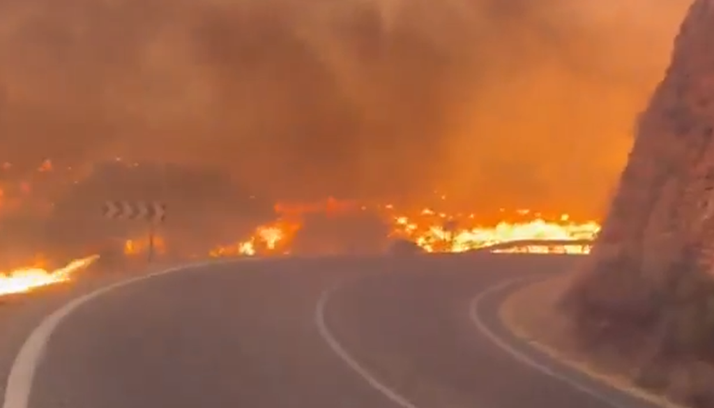 VIDEO: Grozljive posledice požara v Španiji, najmanj 12 mrtvih in več ranjenih