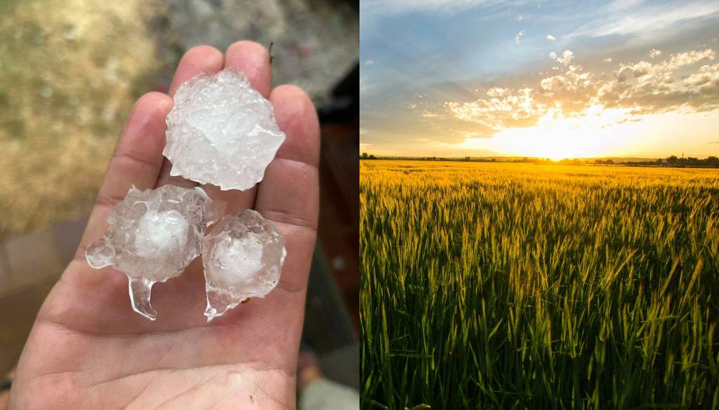 Včeraj neurja in nalivi, danes sonce in prijetno poletno vreme