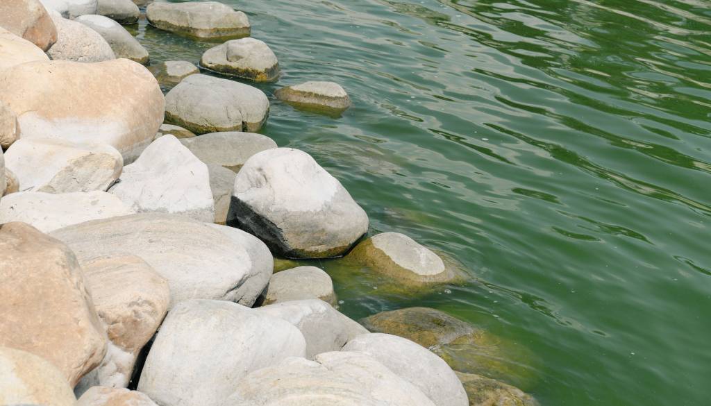 Na priljubljeni plaži pri Ljubljani kopanje odsvetovano, v vodi odkrili bakterijo E. coli