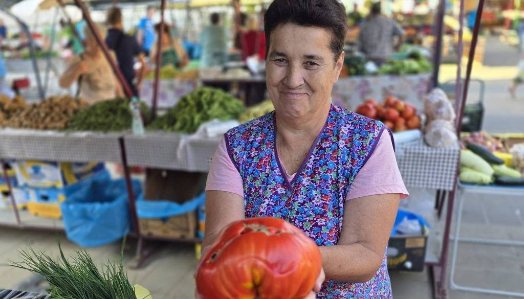 Ste že videli tako velik paradižnik? Mariborska branjevka pokazala pravega poletnega velikana
