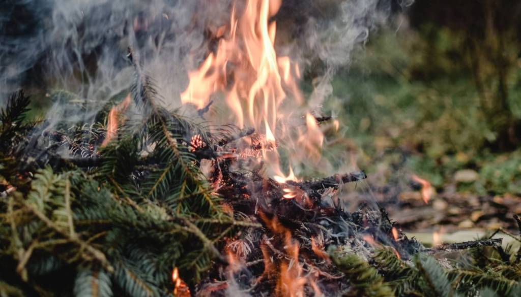V Novem mestu pri kurjenju ogenj ušel izpod nadzora, plameni zajeli drevesa in grmičevje