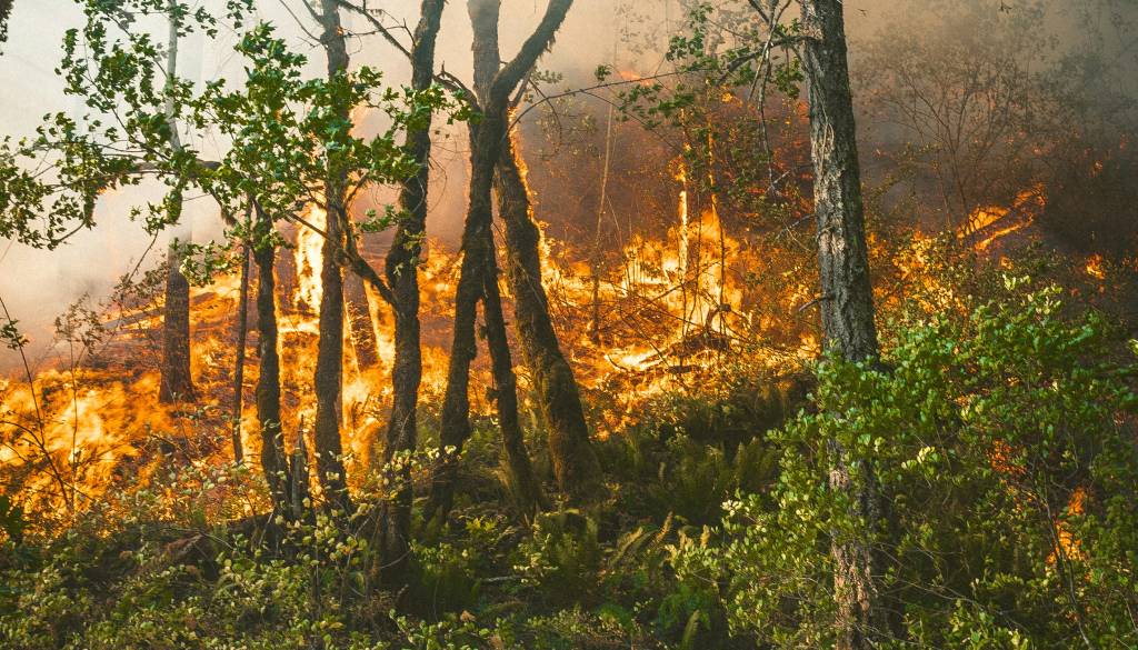 Dobra novica: Požarno ogroženost preklicali, a ne povsod