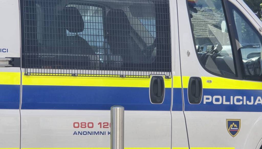 V Pomurji štiri tatvine, policisti obravnavali tudi ugriz živali 