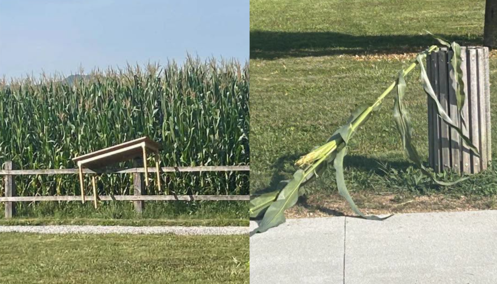 Znova vandalizem na Dolenjskem, tokrat udarili v Deželi kozolcev