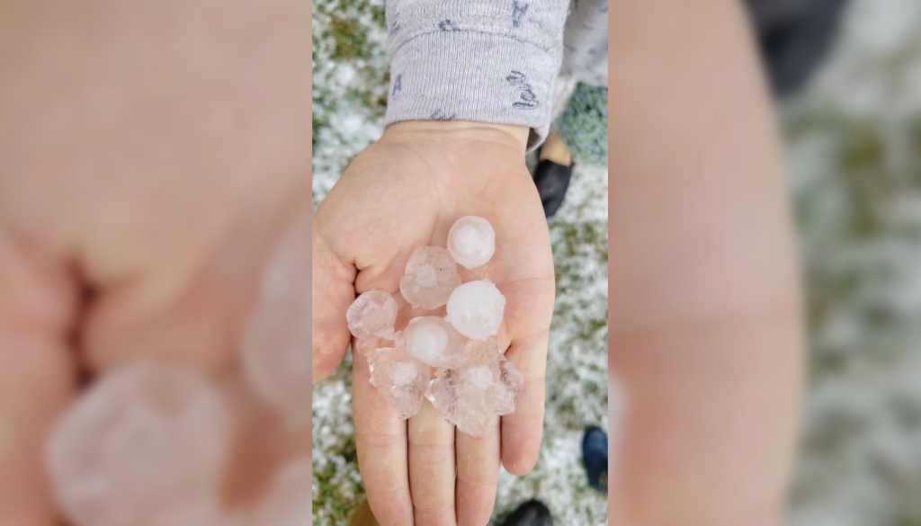 FOTO in VIDEO: Tri centimetre velika zrna toče klestila po vrtninah in poljščinah