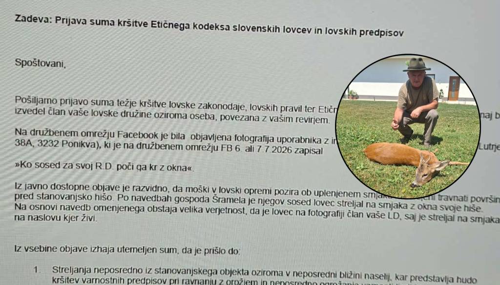 Fotografija srnjaka razburila javnost: Štajerski lovci odgovarjajo na očitke o odstrelu iz okna 