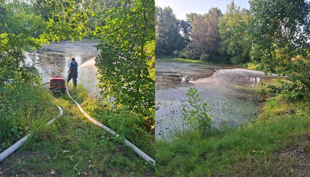 V pomurskem ribniku začele poginjati ribe