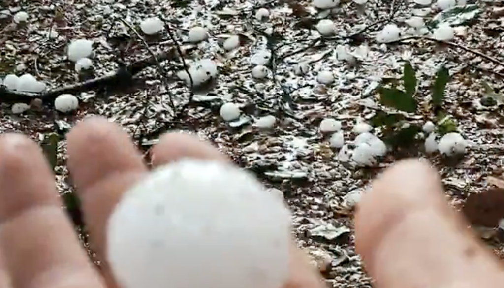 VIDEO: Na Hrvaškem klestila toča v velikosti orehov