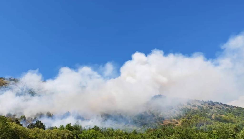 Na Krasu izbruhnil obsežen požar, posreduje okoli sto gasilcev