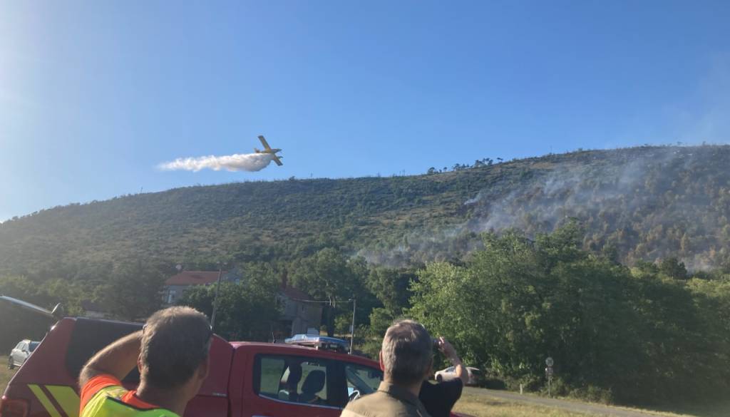 FOTO: Plameni zajeli mladi gozd, pristojni zdaj opozarjajo javnost