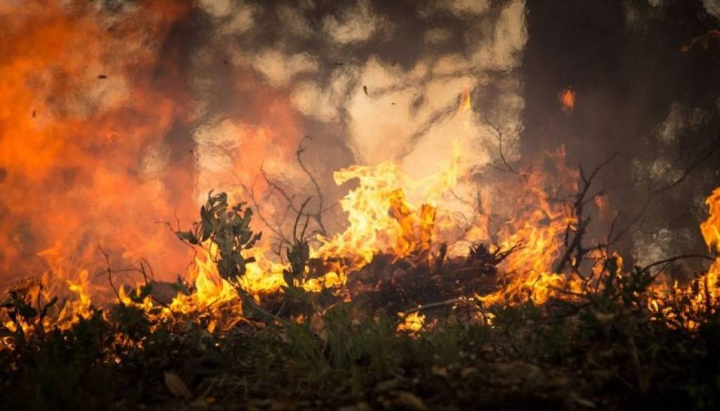 Vročina in suša povečali nevarnost požarov, v naravi od danes veljajo prepovedi