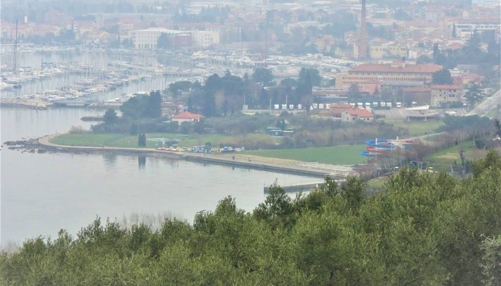 Junaka v Simonovem zalivu: Brez oklevanja rešila 73-letnika