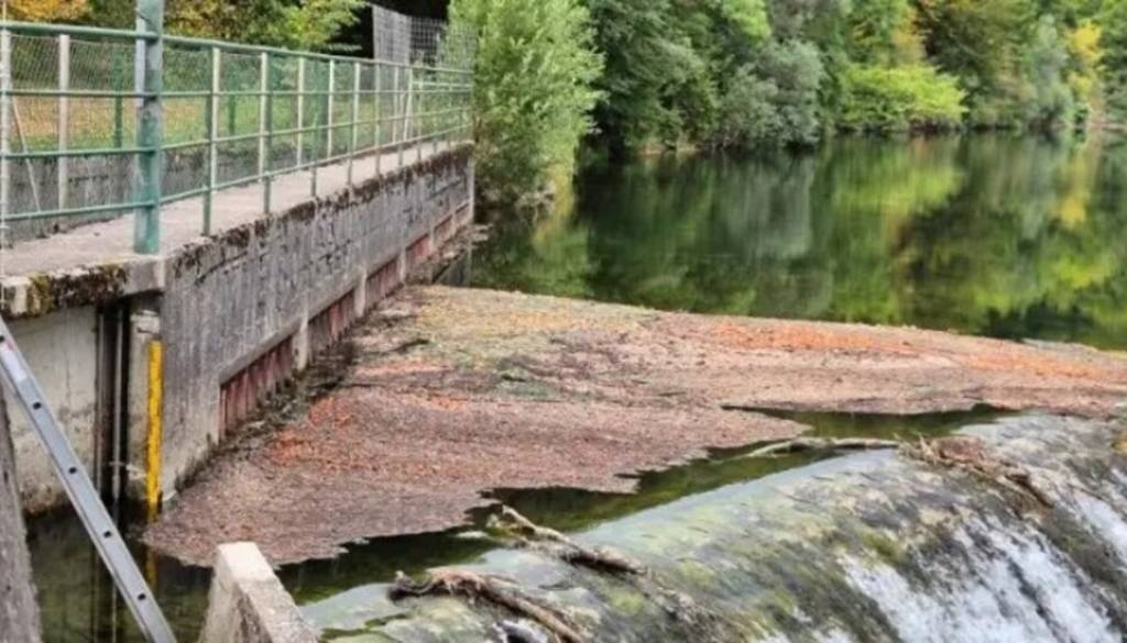 Gošča znova prekrila Savo pri Cajhnovem jezu