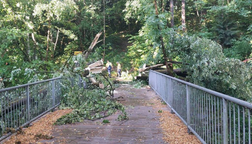 Na Kokrici po štirih letih sanirajo posledice poplav, prihodnje leto še nov most