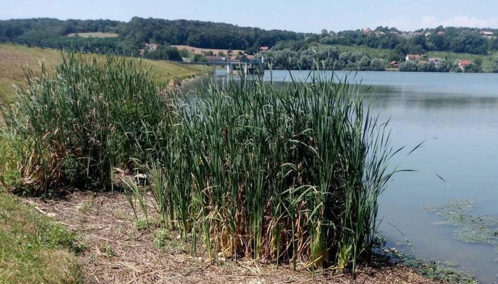 Ribiči, pozor: V Pomurju zaprli še več priljubljenih voda