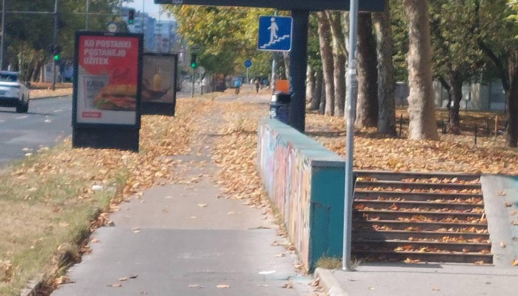 Vročina spreminja Ljubljano: trave ne kosijo, mlada drevesa zalivajo, doma pa opozarjajo na skrite izgube vode