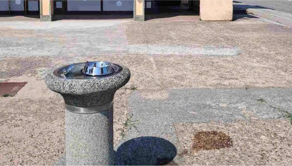 Majhna gesta, ki v vročih dneh pomeni veliko: v Novem mestu niso pozabili niti na štirinožne prijatelje