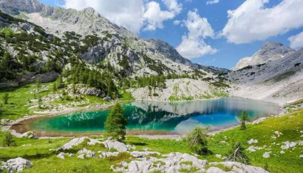Zaradi selfijev vse bližje kravam: v Bohinju opozarjajo na nevarno početje