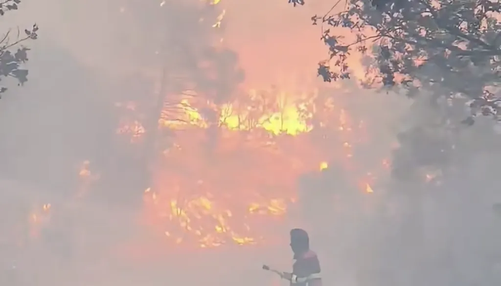 VIDEO: »Situacija je zelo resna,« na Pelješcu izbruhnil velik požar, ogenj se hitro širi