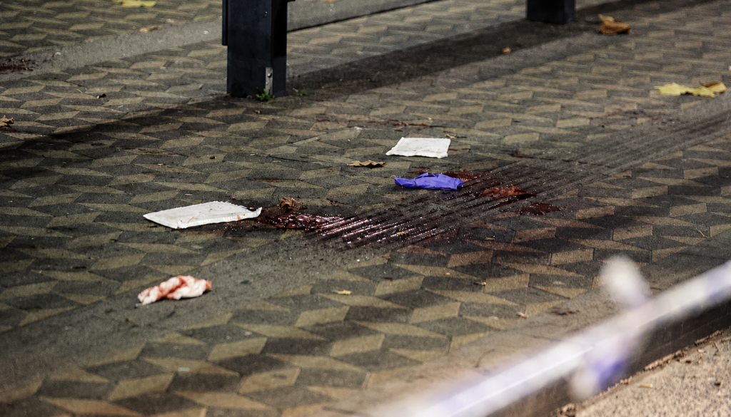 Napada na voznika LPP na Bavarcu, ki je pretresel Ljubljano, dobil epilog. Kakšna kazen za storilca?