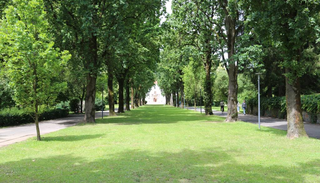 Pomgradu še en milijonski posel v Murski Soboti, stroji v parku naj bi zabrneli že septembra