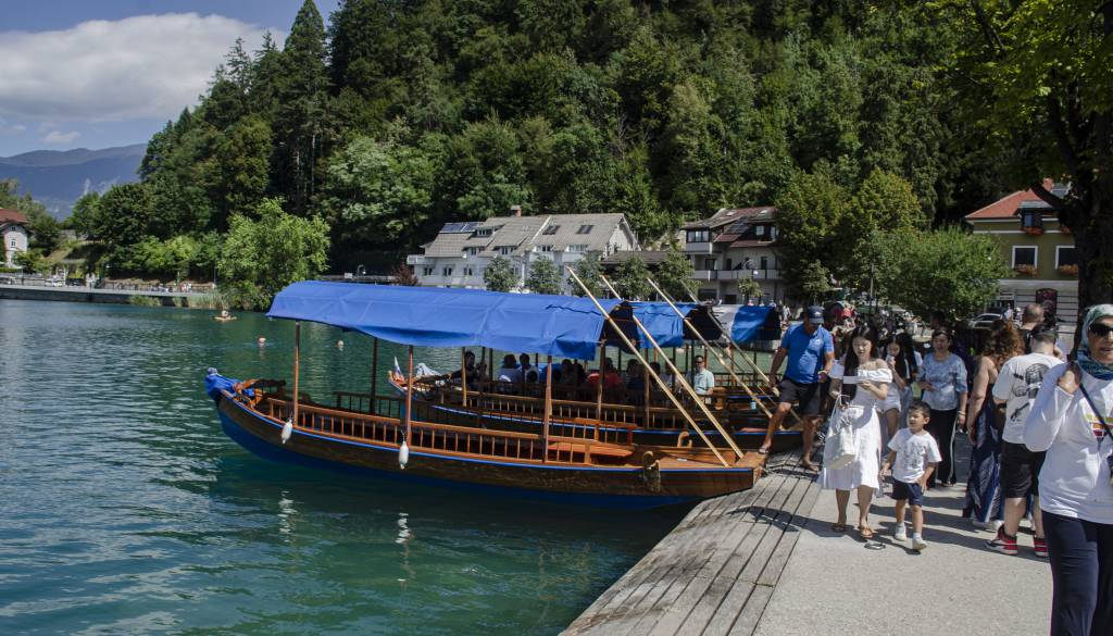 Blejski pletnar opozarja: Supi in ladjice povzročajo težave, največja želja ostaja obvoznica