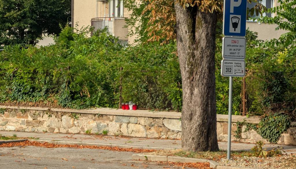 FOTO in VIDEO: Padlim kostanjem na Trubarjevi prižgali sveče, delavci začeli z odstranjevanjem štorov