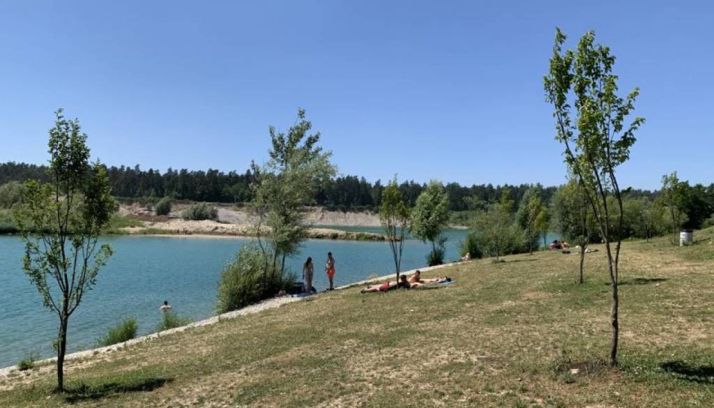 VIDEO: Je to sploh mogoče? V Green Lake naj bi opazili meduze
