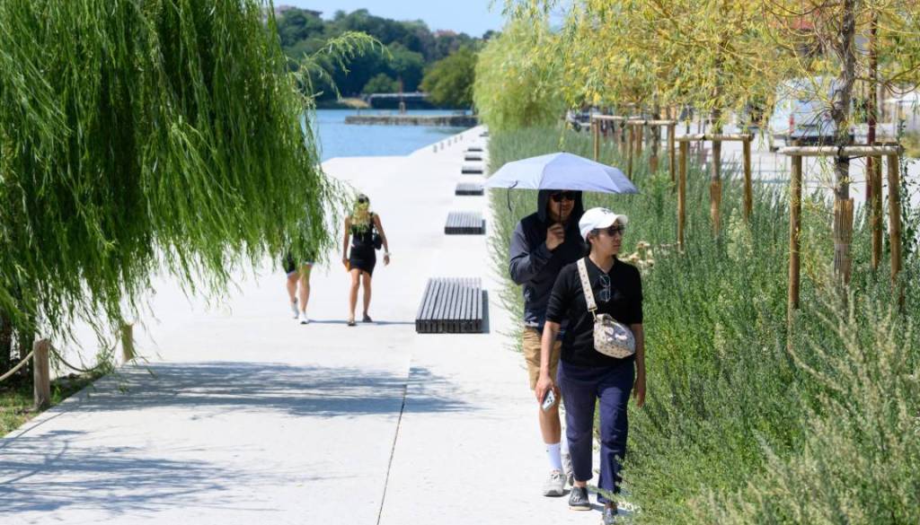 Ko temperature podivjajo: Tako lahko v vročini zaščitite sebe in svoje bližnje