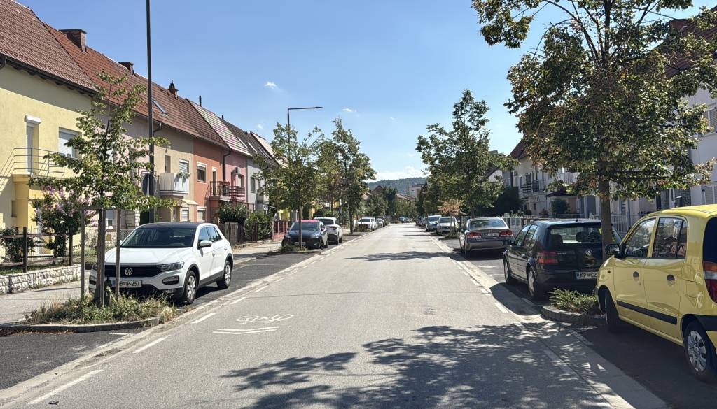 FOTO in VIDEO: Na Trubarjevi padel drevored, Maribor pa je to zgodbo že doživel . Poglejte Cesto zmage danes