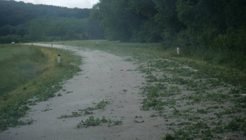 Neurje udarilo po Sloveniji: podrta drevesa, odkrite strehe in zalite kleti