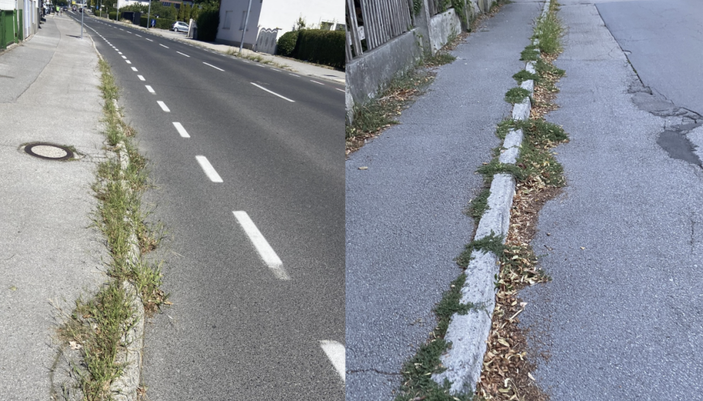 FOTO: Bralec opozarja na razmere v Kosezah: »Je to sploh še cesta?«