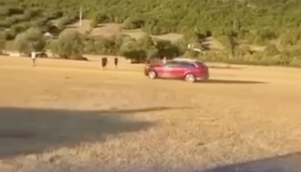 VIDEO: Grozljivka na konjskih dirkah, s terencem namenoma zapeljal med ljudi, več poškodovanih