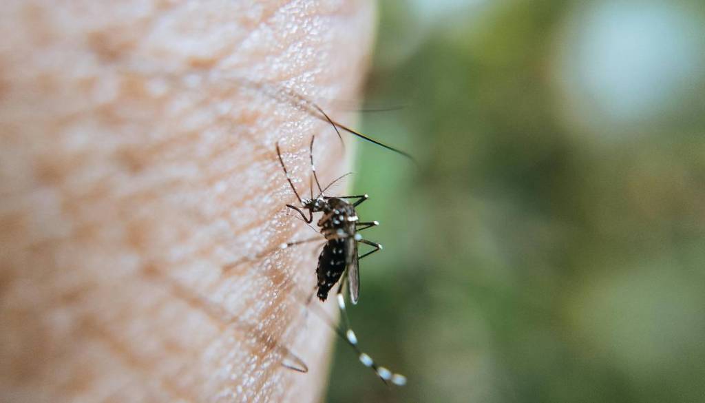 Smrtno nevaren virus vse bližje Sloveniji, okuženi že tudi na Hrvaškem