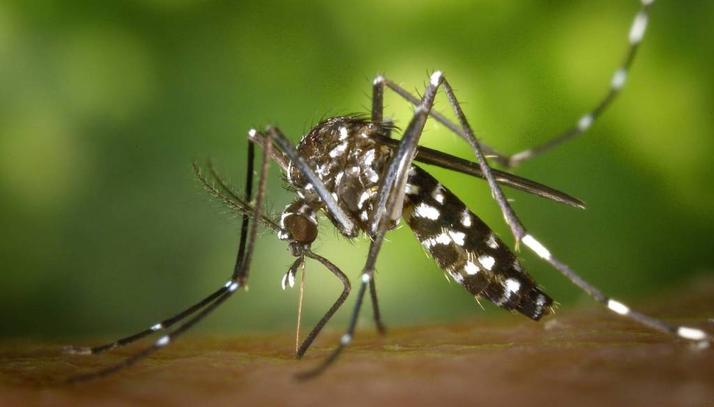 Nevaren virus se širi po Evropi: V Makedoniji že pet mrtvih, v Grčiji kar 13